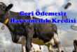 geri-odemesiz-hayvancilik-kredisi